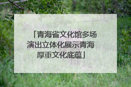 青海省文化馆多场演出立体化展示青海厚重文化底蕴