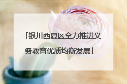 银川西夏区全力推进义务教育优质均衡发展