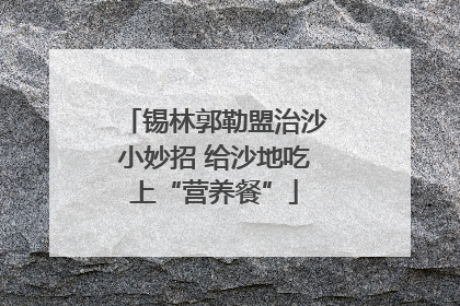 锡林郭勒盟治沙小妙招 给沙地吃上“营养餐”