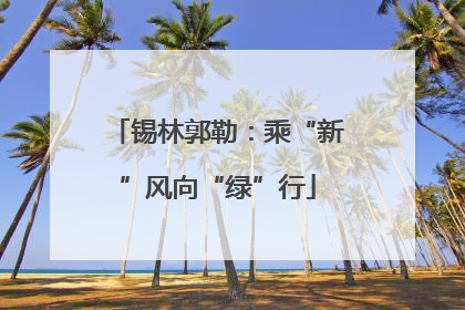 锡林郭勒：乘“新”风向“绿”行