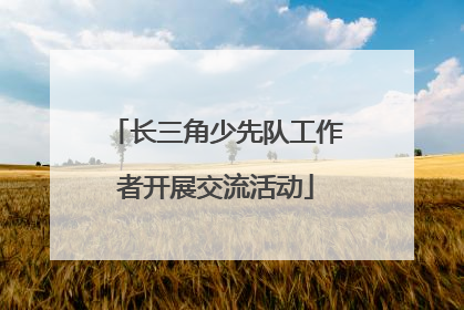 长三角少先队工作者开展交流活动