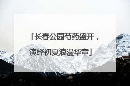 长春公园芍药盛开，演绎初夏浪漫华章