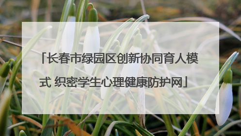 长春市绿园区创新协同育人模式 织密学生心理健康防护网