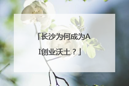 长沙为何成为AI创业沃土？