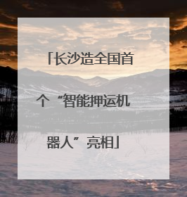 长沙造全国首个“智能押运机器人”亮相