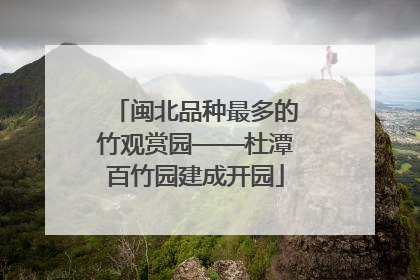 闽北品种最多的竹观赏园——杜潭百竹园建成开园