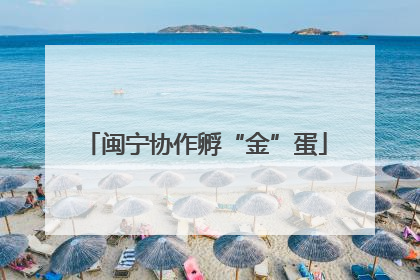 闽宁协作孵“金”蛋