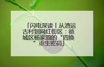 闪电深读丨从漕运古村到网红街区：德城区杨家圈的“四换”重生密码