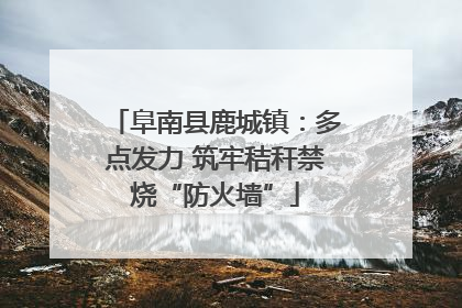 阜南县鹿城镇：多点发力 筑牢秸秆禁烧“防火墙”