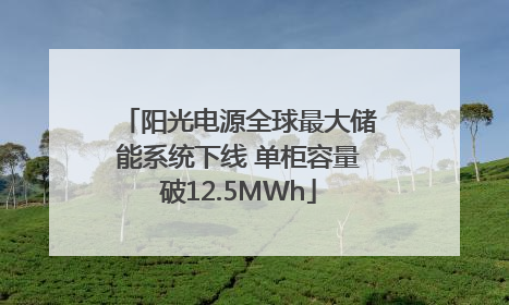 阳光电源全球最大储能系统下线 单柜容量破12.5MWh