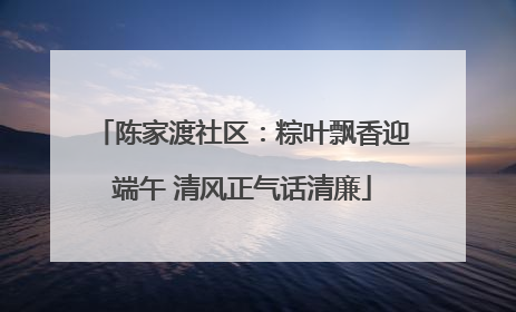 陈家渡社区：粽叶飘香迎端午 清风正气话清廉
