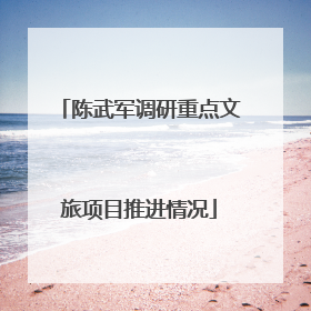 陈武军调研重点文旅项目推进情况
