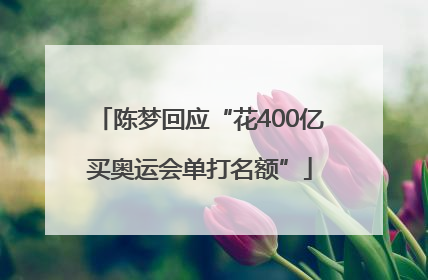 陈梦回应“花400亿买奥运会单打名额”
