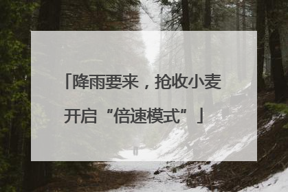 降雨要来，抢收小麦开启“倍速模式”