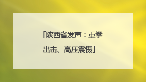 陕西省发声：重拳出击、高压震慑