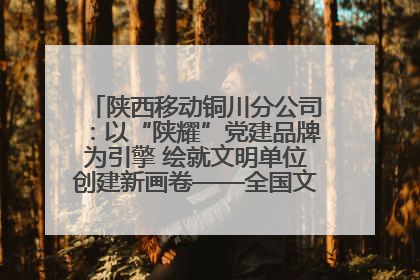 陕西移动铜川分公司：以“陕耀”党建品牌为引擎 绘就文明单位创建新画卷——全国文明单位创建纪实