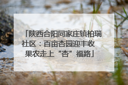 陕西合阳同家庄镇柏瑞社区：百亩杏园迎丰收 果农走上“杏”福路