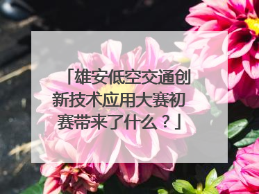 雄安低空交通创新技术应用大赛初赛带来了什么？