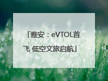 雅安：eVTOL首飞 低空文旅启航