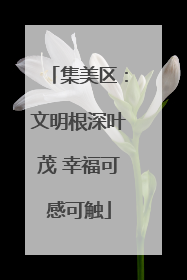 集美区：文明根深叶茂 幸福可感可触