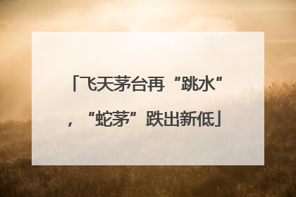 飞天茅台再“跳水”，“蛇茅”跌出新低