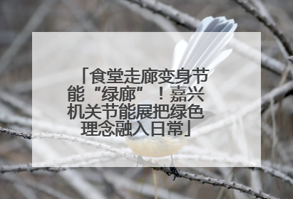食堂走廊变身节能“绿廊”！嘉兴机关节能展把绿色理念融入日常