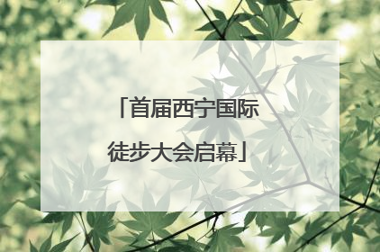 首届西宁国际徒步大会启幕