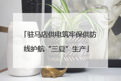 驻马店供电筑牢保供防线护航“三夏”生产