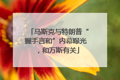 马斯克与特朗普“握手言和”内幕曝光，和万斯有关