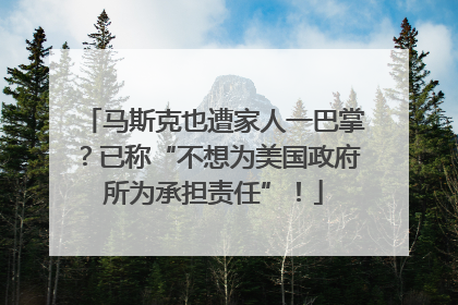 马斯克也遭家人一巴掌？已称“不想为美国政府所为承担责任”！