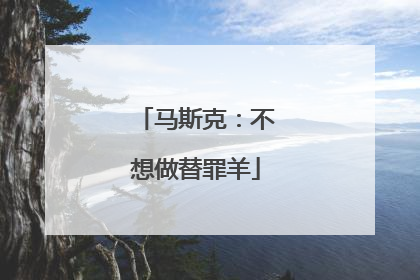 马斯克：不想做替罪羊
