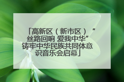 高新区（新市区）“丝路回响 爱我中华”铸牢中华民族共同体意识音乐会启幕