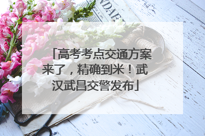高考考点交通方案来了，精确到米！武汉武昌交警发布