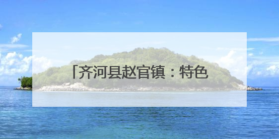 齐河县赵官镇：特色农旅+精品民宿+红色研学，解锁多元魅力