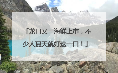 龙口又一海鲜上市，不少人夏天就好这一口！
