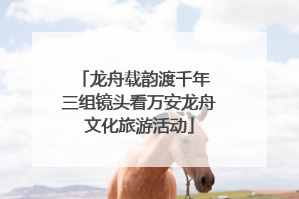 龙舟载韵渡千年 三组镜头看万安龙舟文化旅游活动