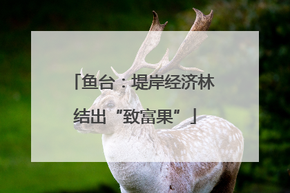 鱼台：堤岸经济林结出“致富果”