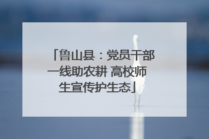 鲁山县：党员干部一线助农耕 高校师生宣传护生态