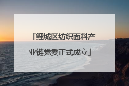 鲤城区纺织面料产业链党委正式成立