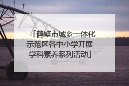 鹤壁市城乡一体化示范区各中小学开展学科素养系列活动