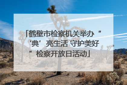 鹤壁市检察机关举办“‘典’亮生活 守护美好”检察开放日活动