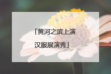 黄河之滨上演汉服展演秀