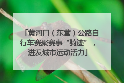 黄河口（东营）公路自行车赛聚赛事“骑迹”，迸发城市运动活力