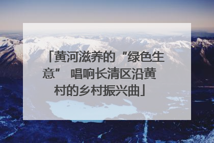 黄河滋养的“绿色生意” 唱响长清区沿黄村的乡村振兴曲