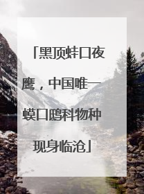 黑顶蛙口夜鹰，中国唯一蟆口鸱科物种现身临沧