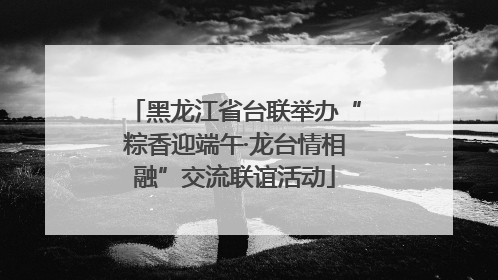 黑龙江省台联举办“粽香迎端午·龙台情相融”交流联谊活动