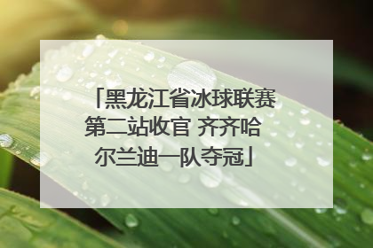 黑龙江省冰球联赛第二站收官 齐齐哈尔兰迪一队夺冠