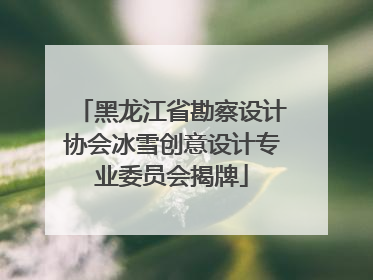 黑龙江省勘察设计协会冰雪创意设计专业委员会揭牌