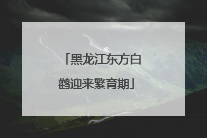 黑龙江东方白鹳迎来繁育期