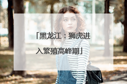 黑龙江：狮虎进入繁殖高峰期